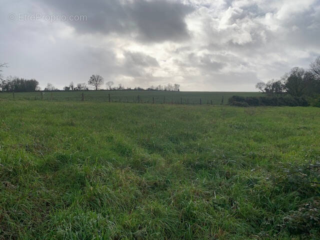 Terrain à SAINT-MARTIN-LARS-EN-SAINTE-HERMINE