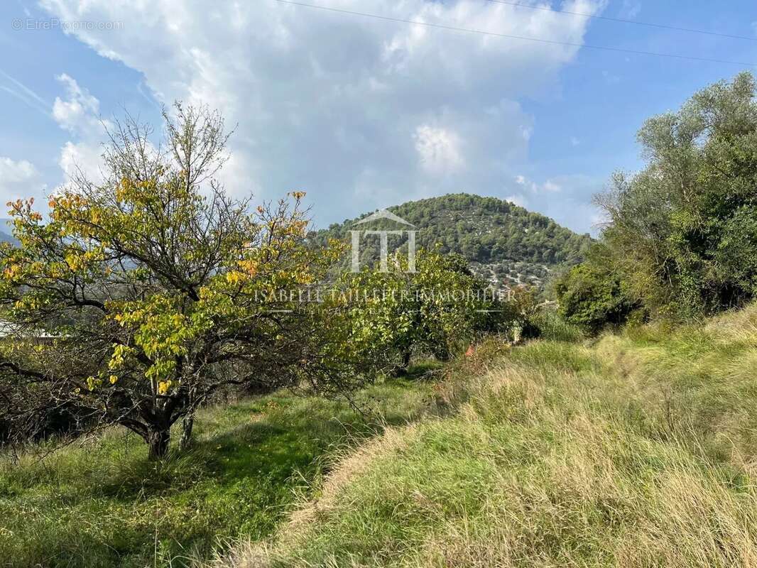 Terrain à L'ESCARENE