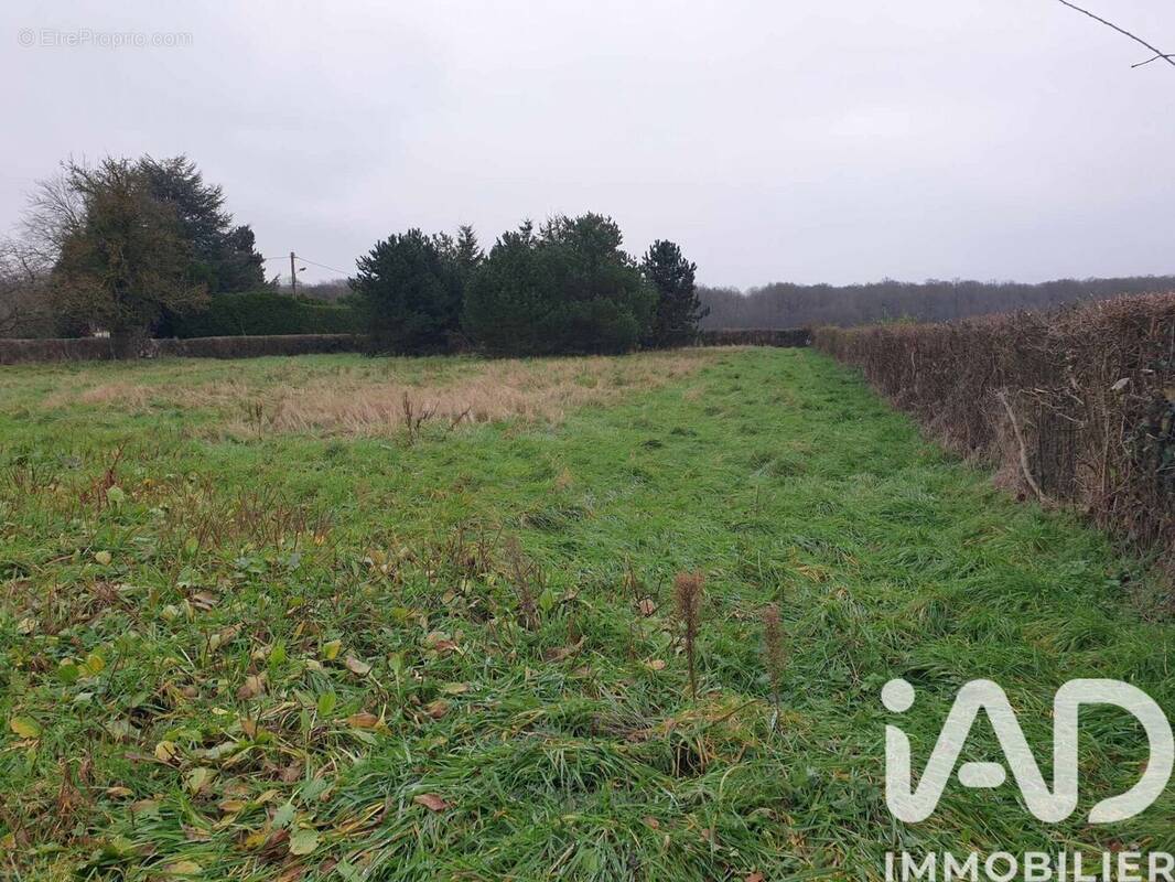 Photo 1 - Terrain à BEAUMONT-LE-ROGER