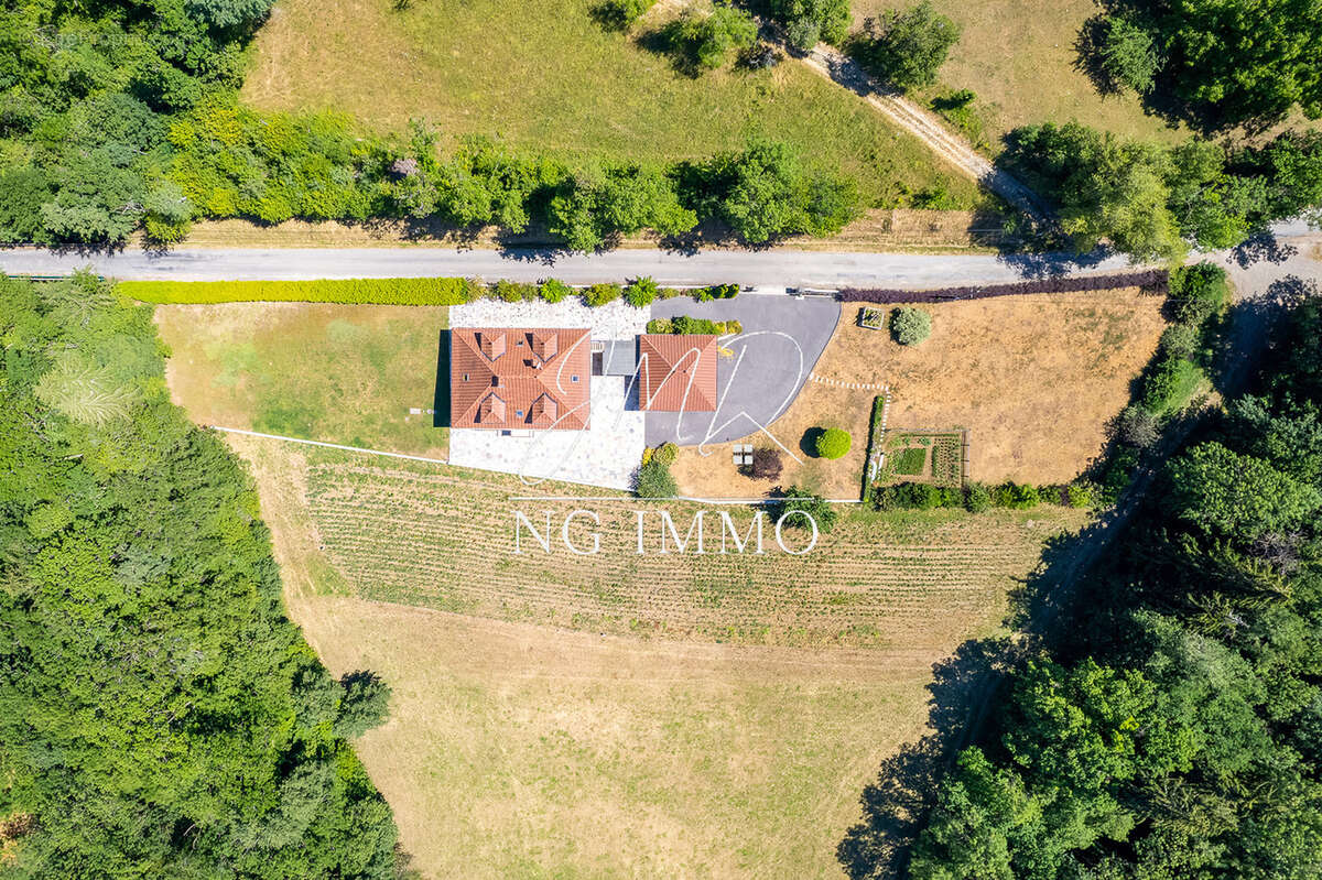 Exclusivité   propriété de prestige à lucinges de 290m2 avec 3230m2 de terrain - photo 4