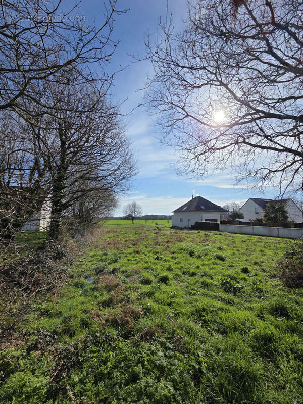 BADEN, exclusivité MOCQUARD immobilier.  Situé sur la commune de Baden, dans un environnement  agréable. - photo 4
