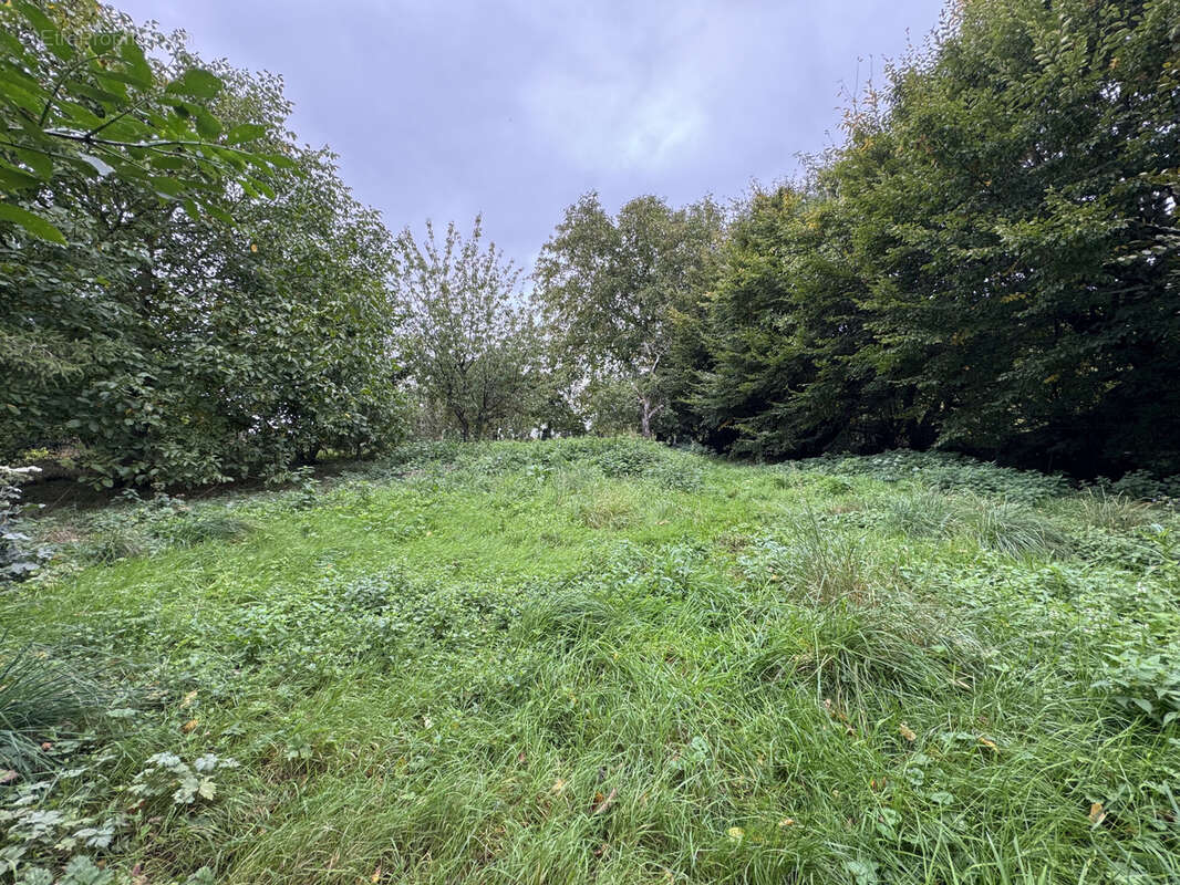 Terrain à VILLERS-COTTERETS