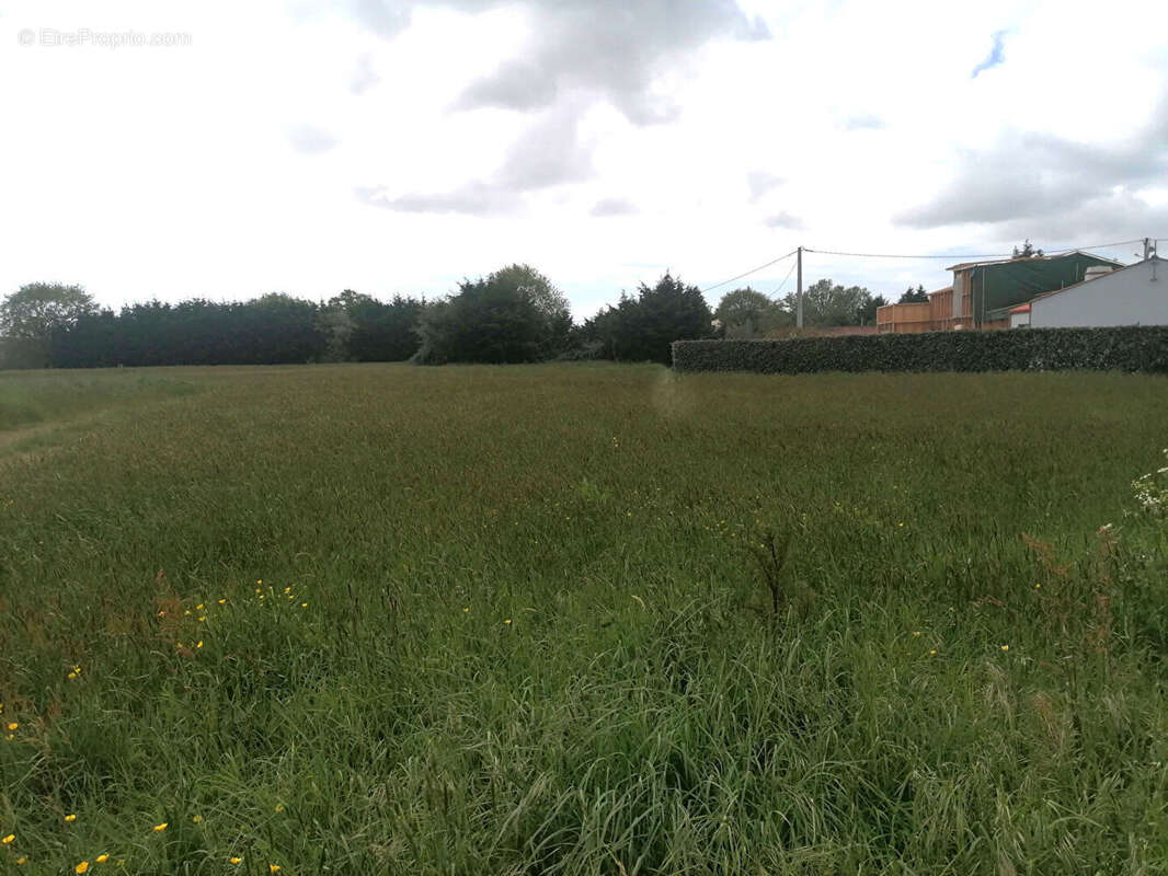 Terrain à COMMEQUIERS