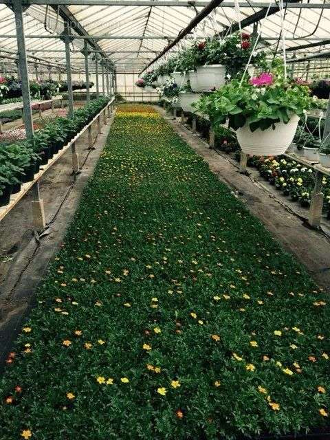 Commerce à RIBEMONT