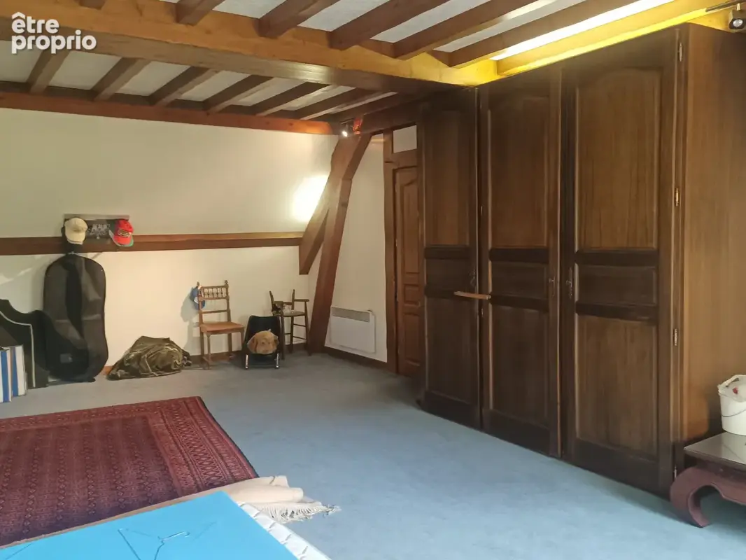 SAINT MAURICE L EXIL Maison 180m2  habitables parcelle de terrain 1500m2 piscine - photo 14