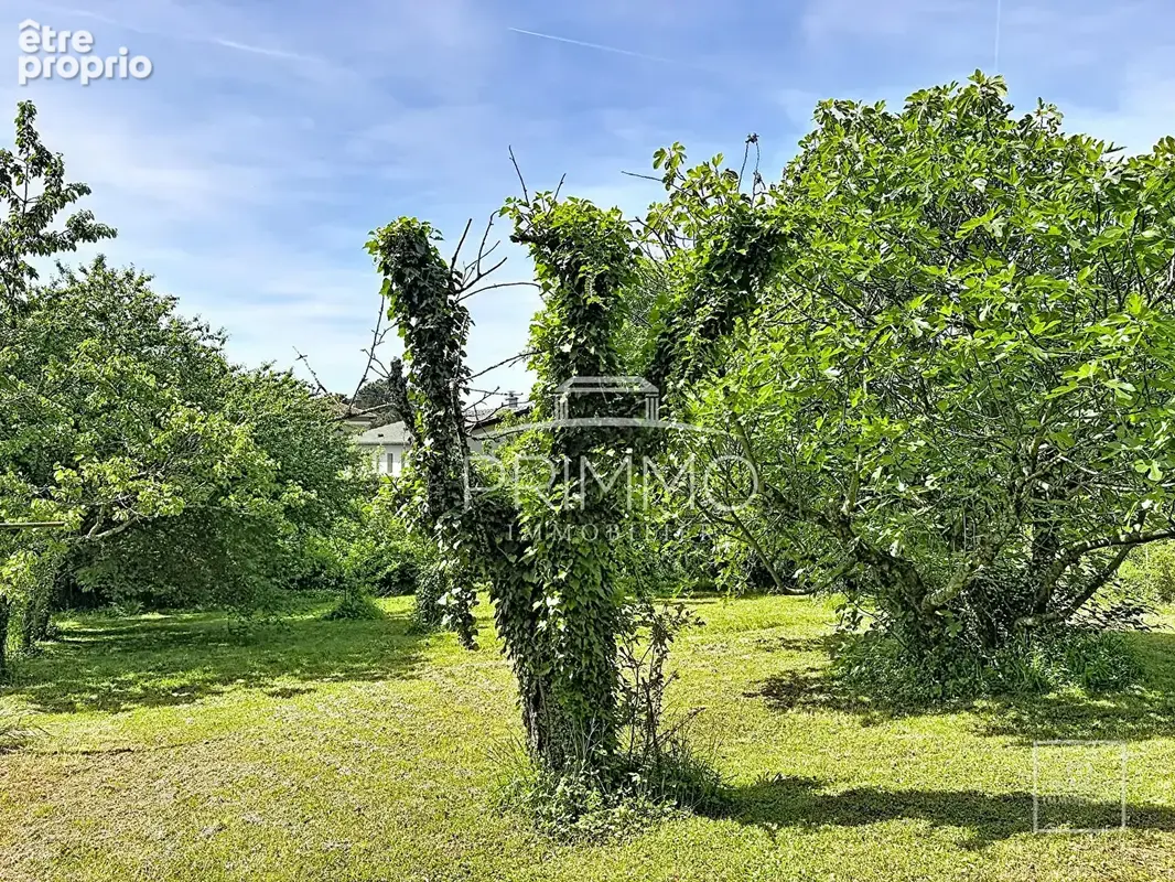 Saint Cyr Au Mont D'Or, maison de 264m² + 210m² utiles sur terrain de 1600m² - photo 4