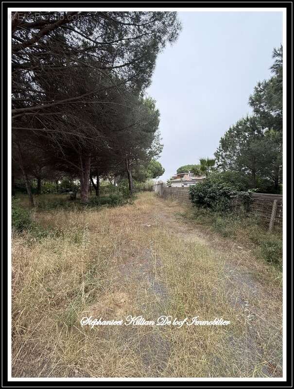 Terrain à vendre  LE GRAU D'AGDE (34) - photo 3