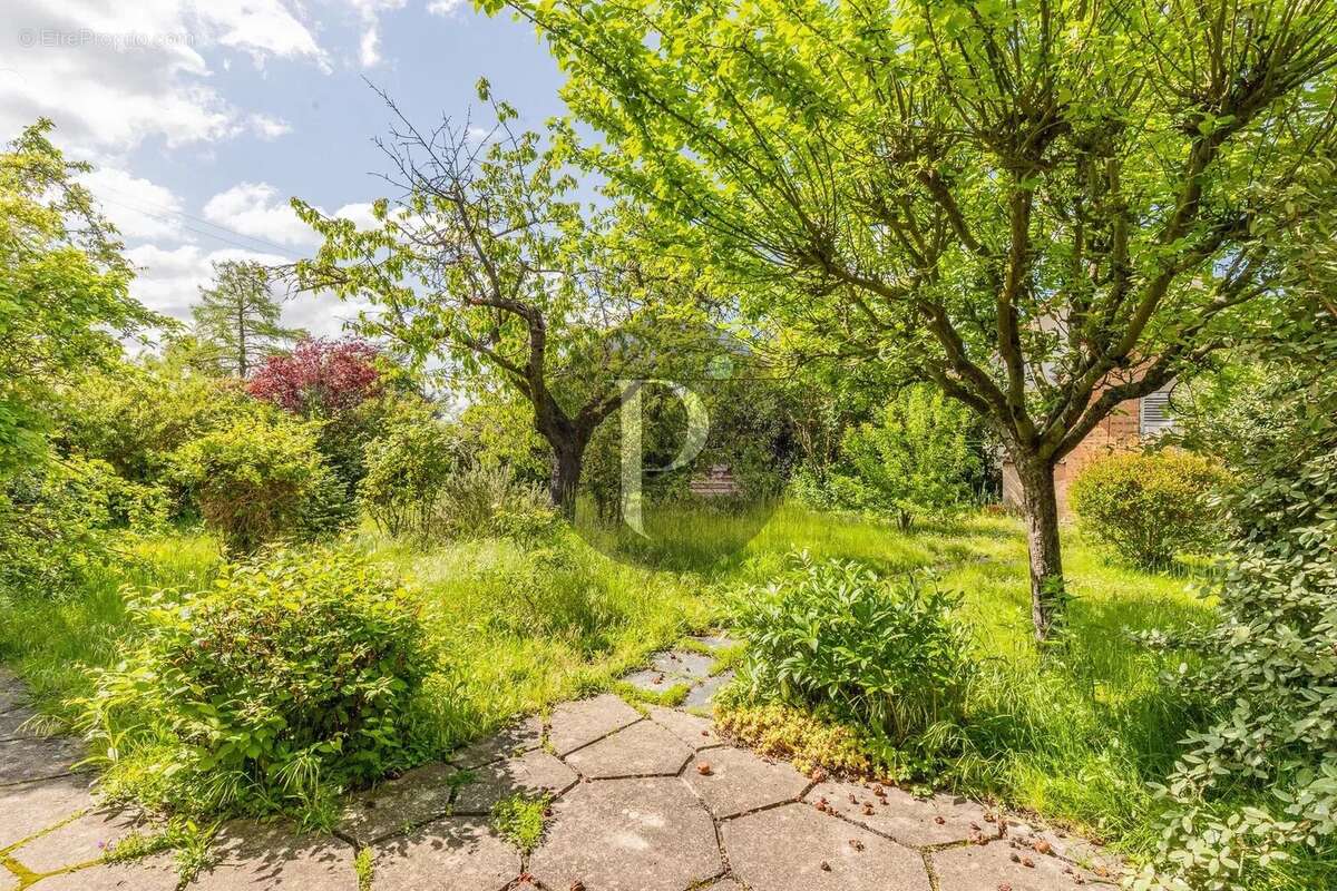 Terrain à VERRIERES-LE-BUISSON