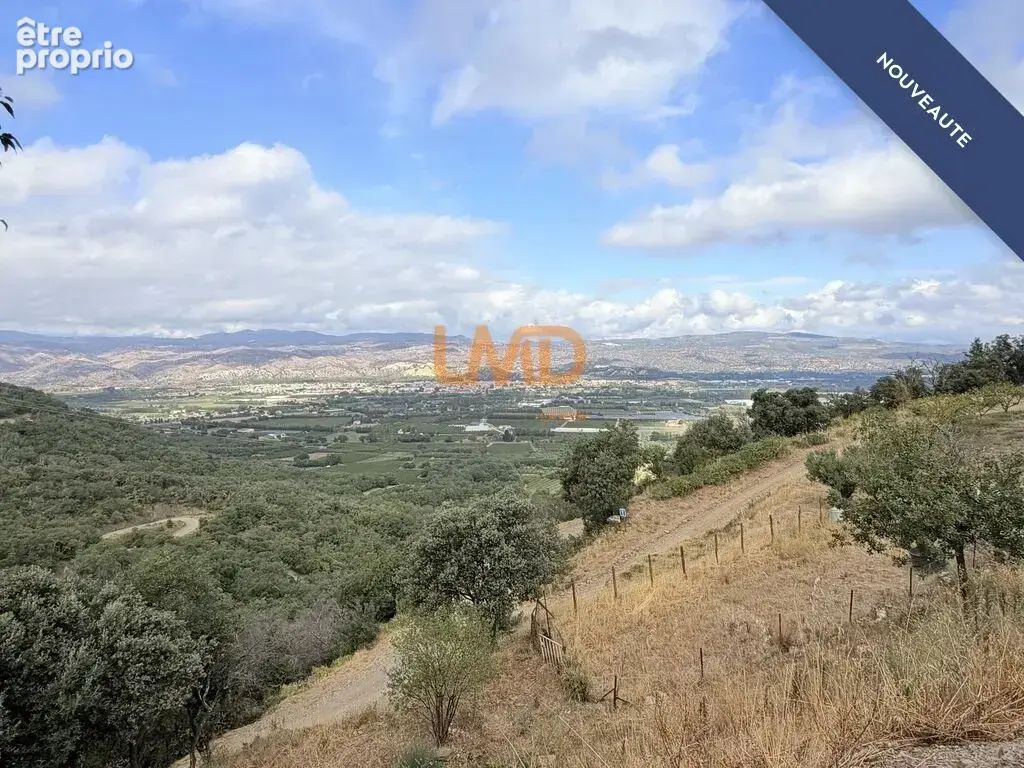 Mas 242 m2 Sur 55 hectares - photo 6