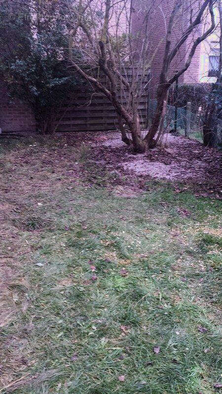 Appartement à TETEGHEM