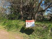 Photo 1 - Terrain à CHATEAU-D&#039;OLONNE