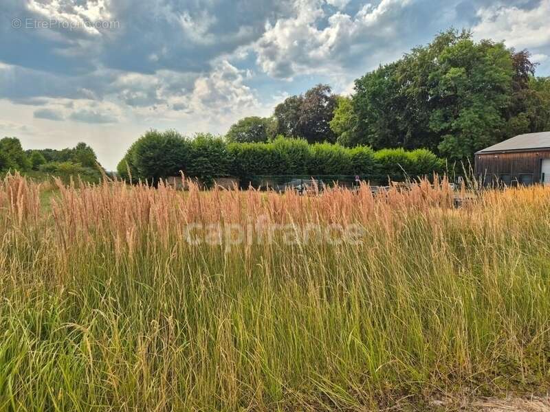 Terrain à bâtir viabilisé de 578,00 m² - Libre constructeur - photo 5