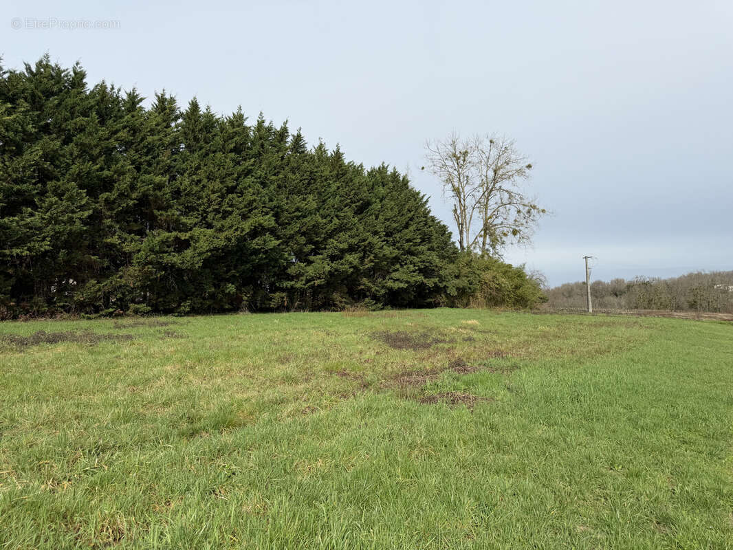 Autre à LUGON-ET-L'ILE-DU-CARNAY