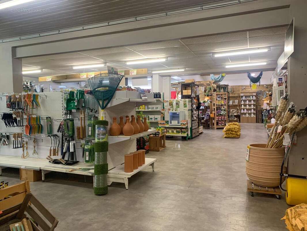 Photo 6 - Commerce à LESPARRE-MEDOC