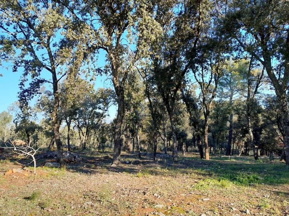 Terrain à LE THORONET