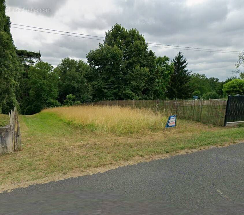 Terrain à PELLEGRUE