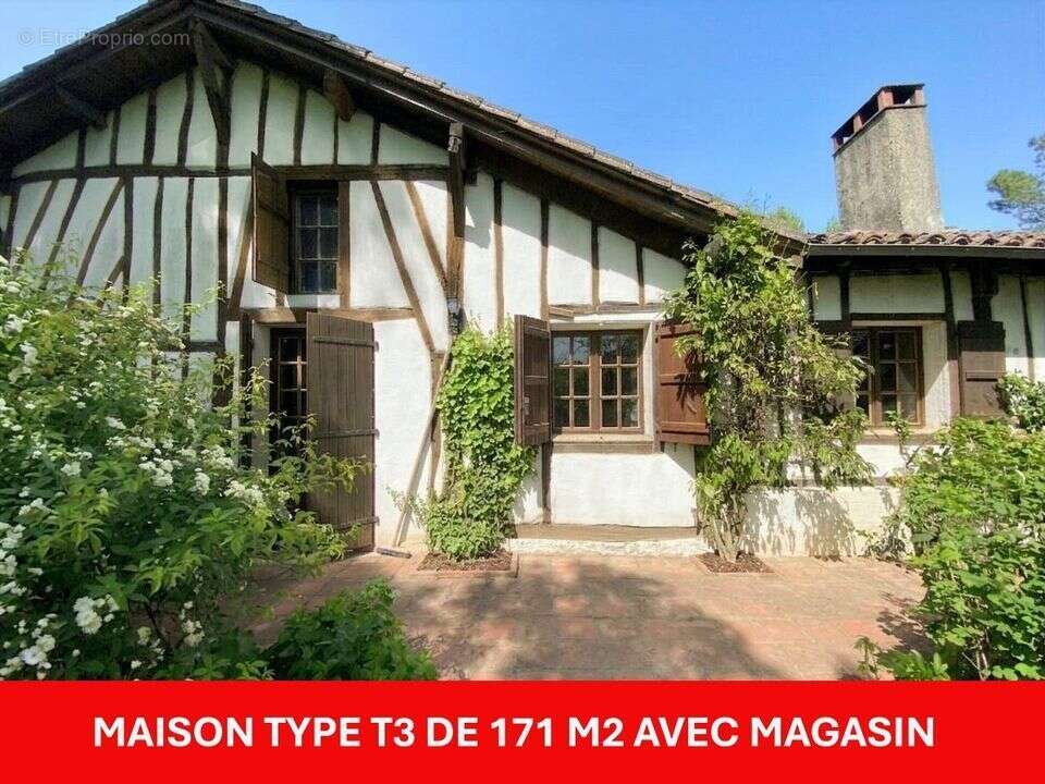 #maison #gîtes #commerce #gers #cazaubon #32150