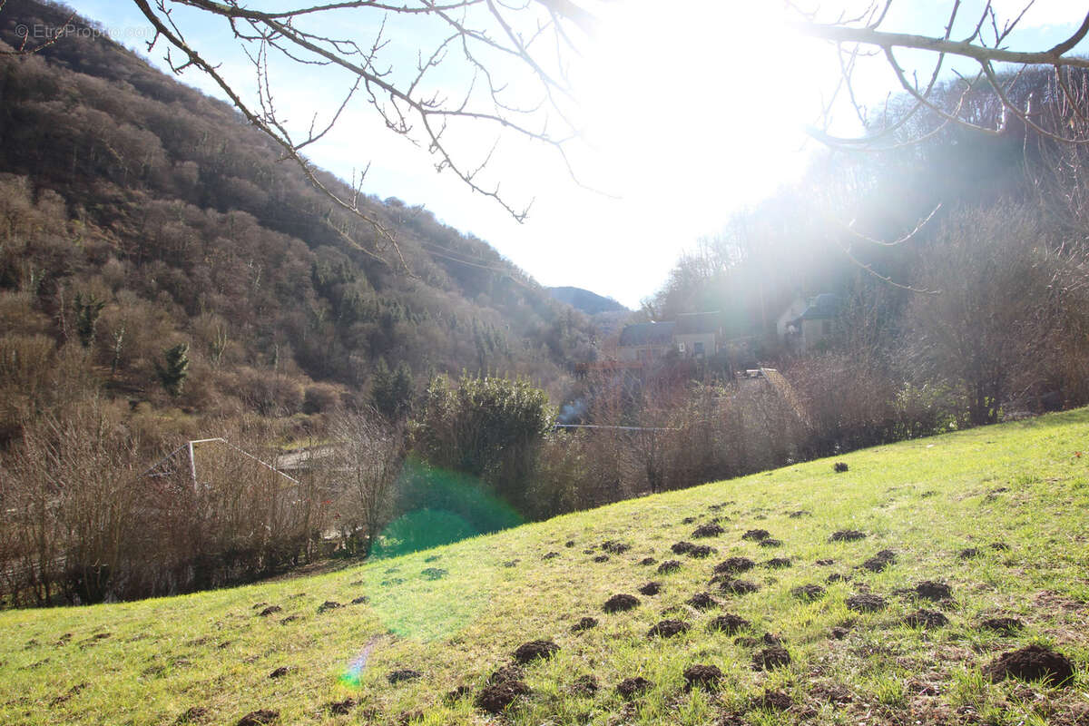 Terrain à GURAN