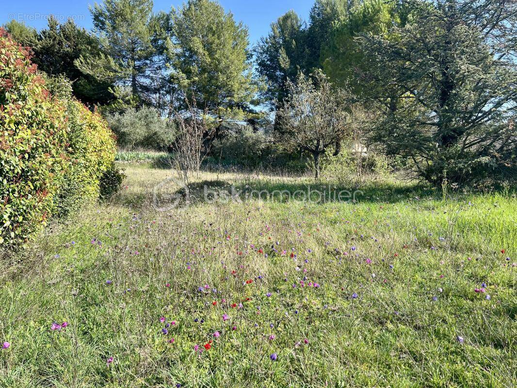 Terrain à MONTAUROUX