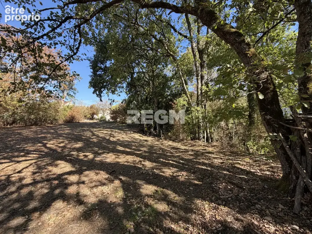 Propriété avec accès direct à la forêt - photo 12