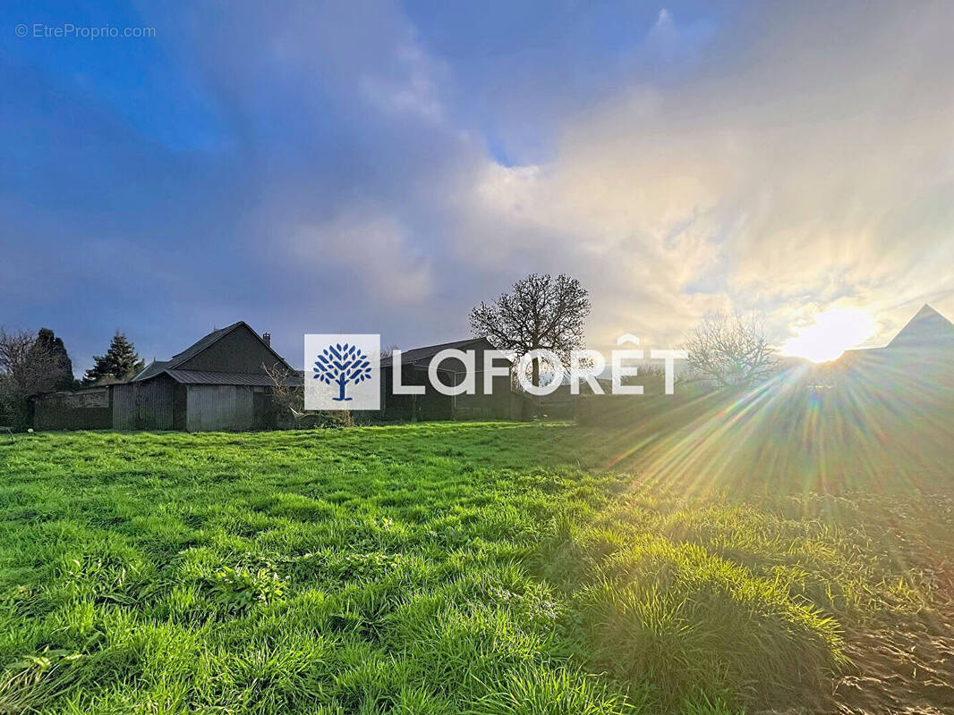 Terrain à BUCHY
