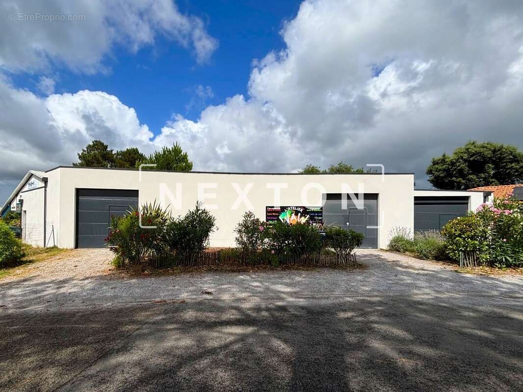 Commerce à BENESSE-MAREMNE