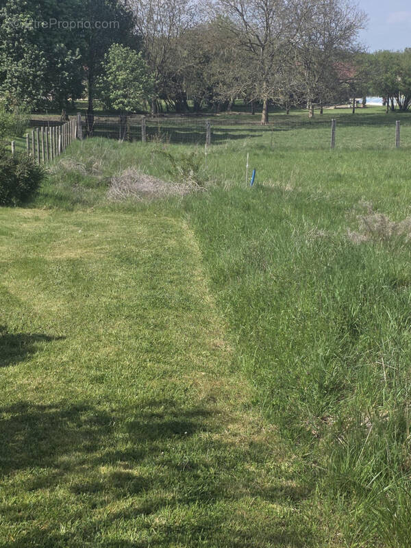 Terrain à VIGNEULLES-LES-HATTONCHATEL