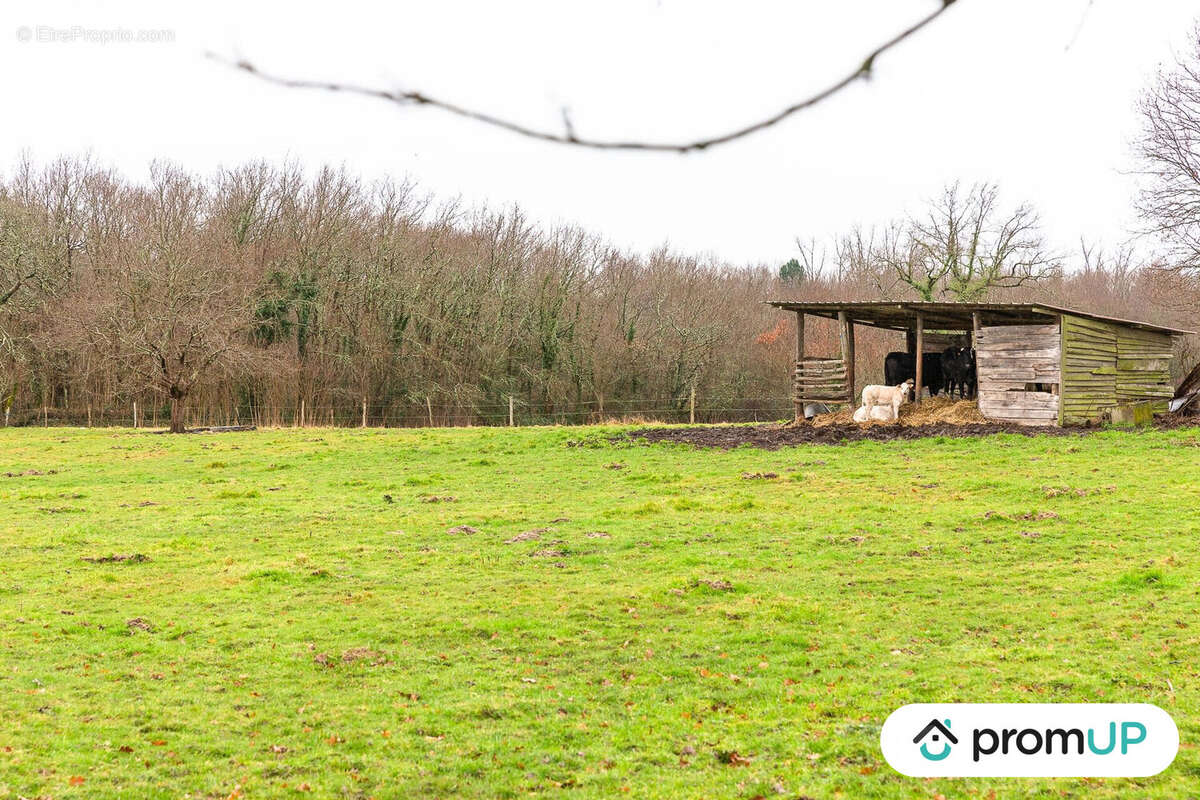Terrain à BOISREDON