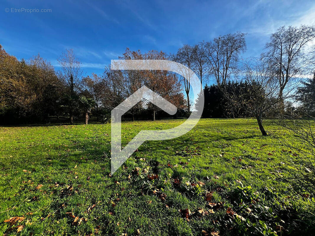 Terrain à PORT-DE-LANNE