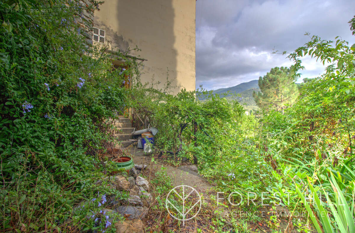 Maison à AMELIE-LES-BAINS-PALALDA