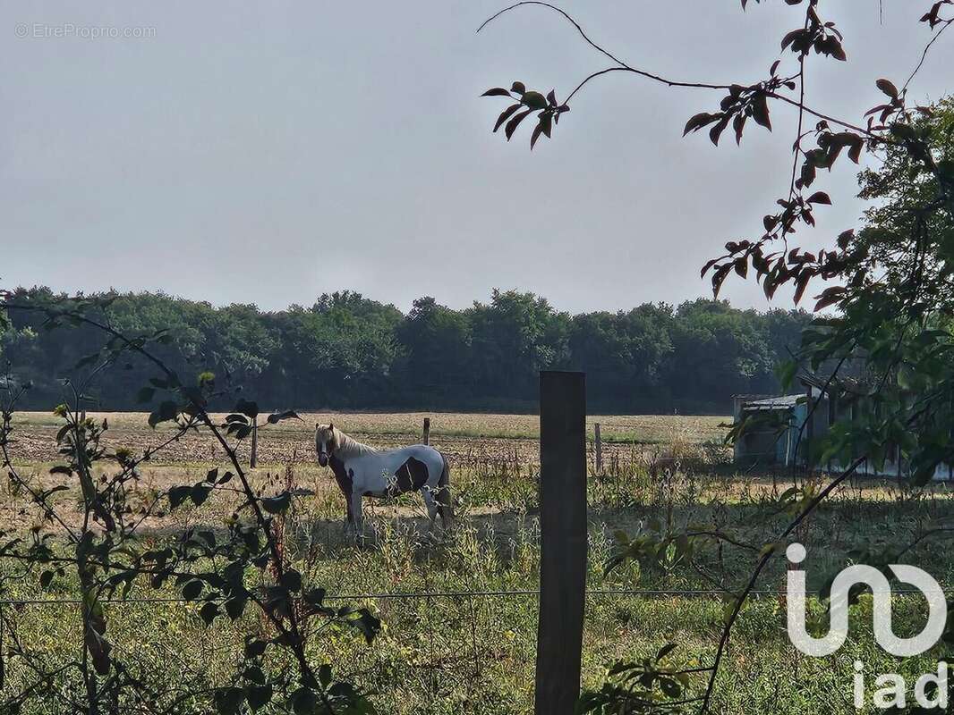 Photo 4 - Terrain à LE GUA