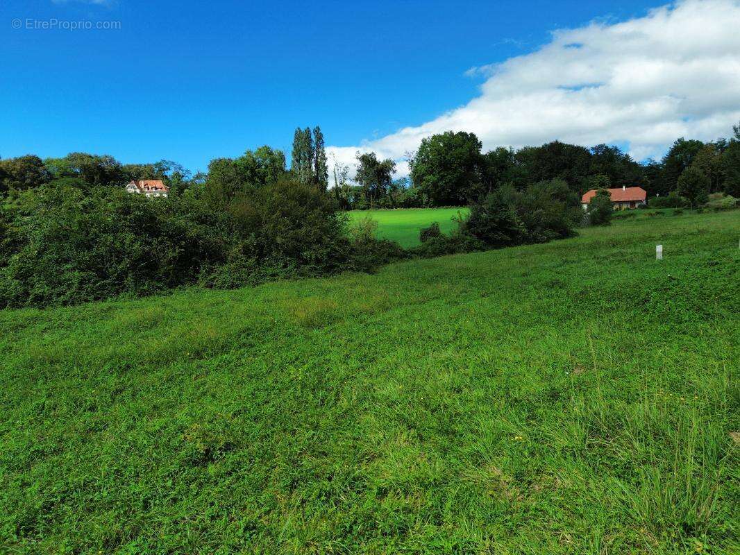 Terrain à SAUVETERRE-DE-BEARN
