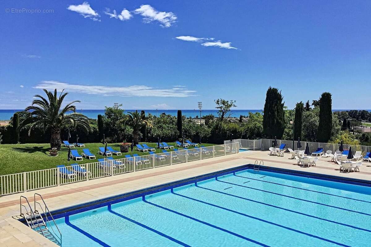 5P d'angle - Domaine du Loup - Vue Mer et Parc - photo 16