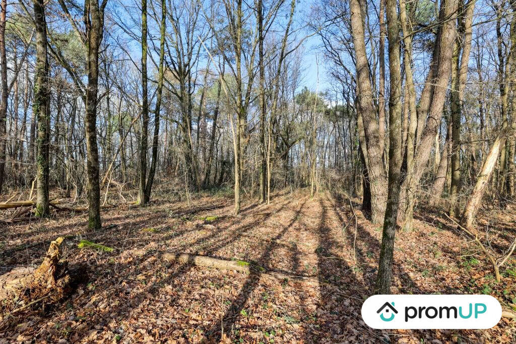 Terrain à CHATILLON-SUR-CHER