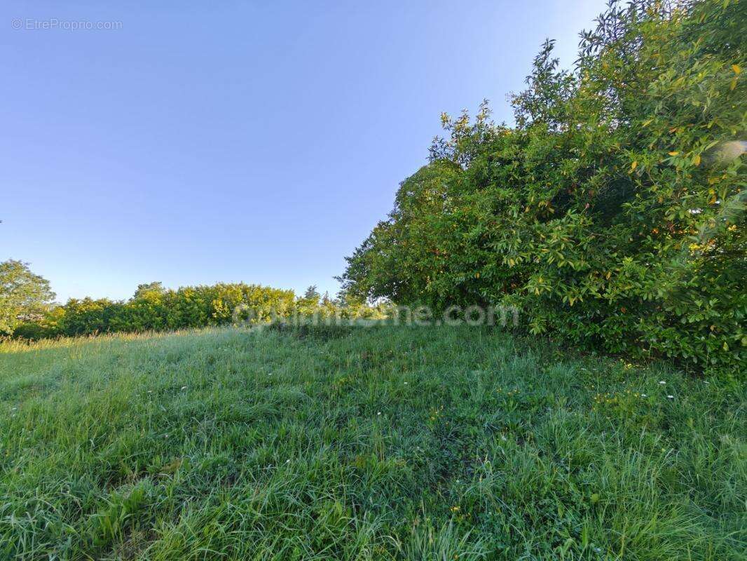 BAISSE DE PRIX !! Terrain constructible de 1 650m² situé à EAUZE (32) - photo 3