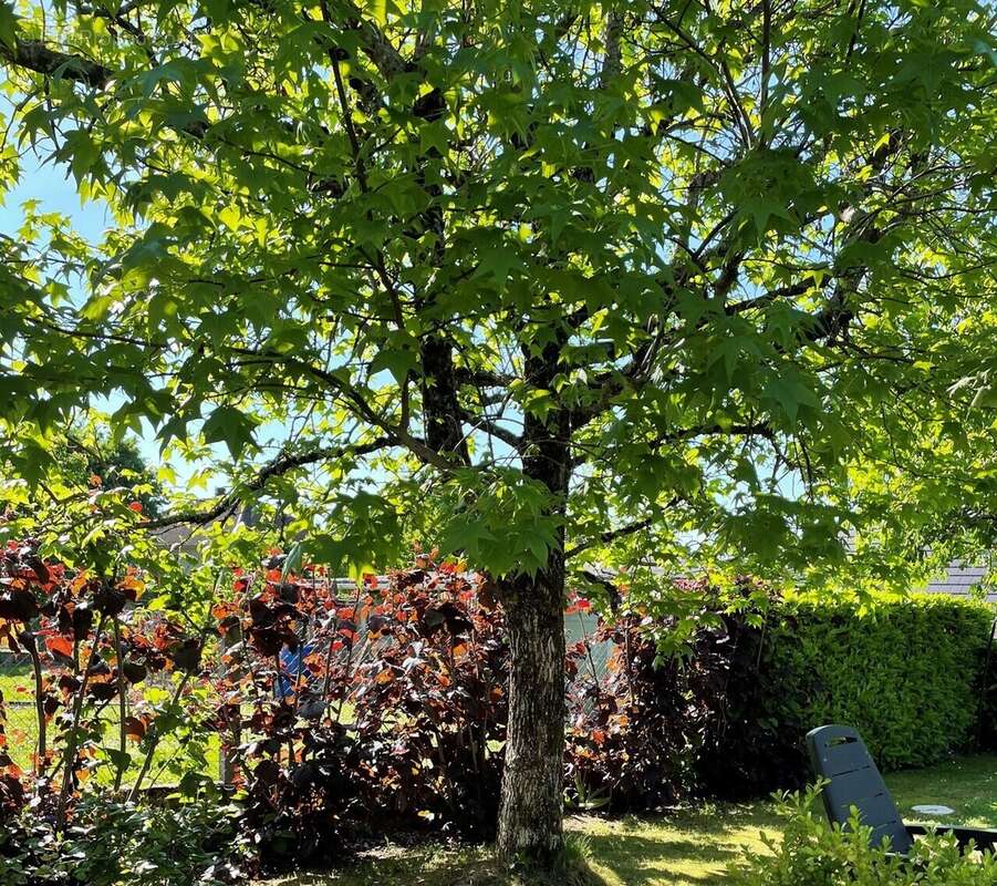 Maison à MALEMORT-SUR-CORREZE
