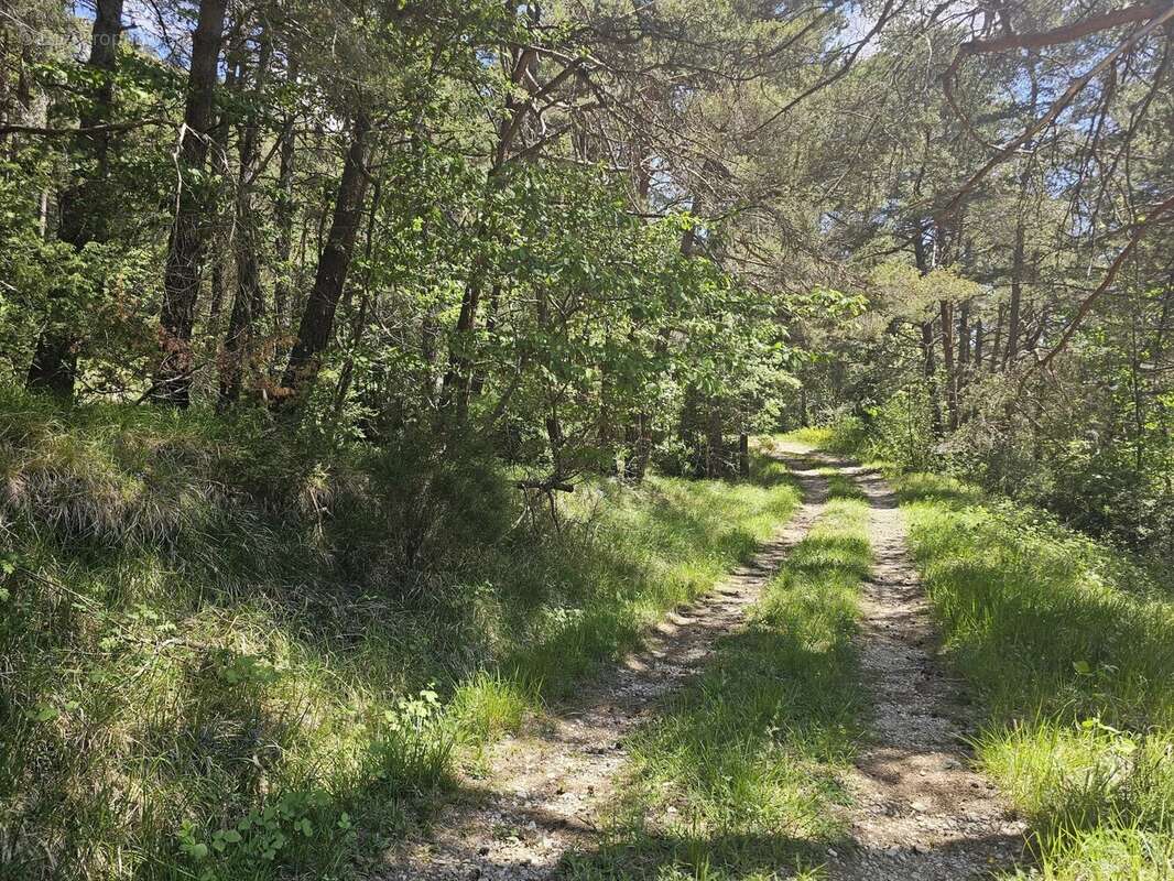 Terrain à CAILLE
