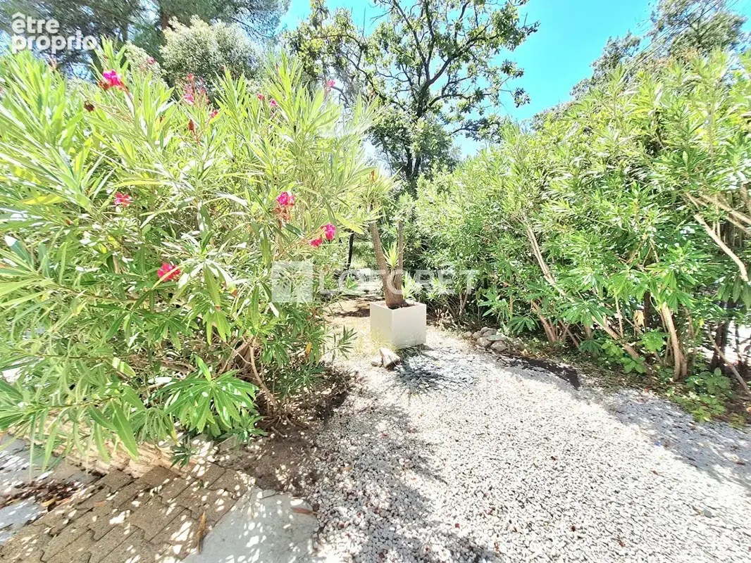 Maison Assas sur une parcelle de 1062 m2 - photo 8