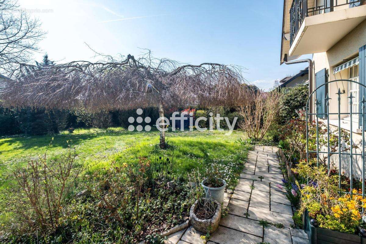 Maison 170 m² à Chens-Sur-Leman  - photo 3