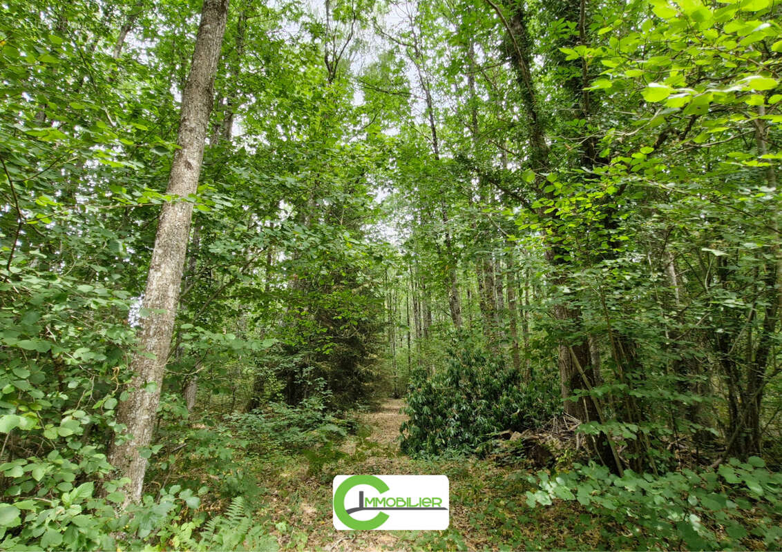 Axe la ferte-bernard/vibraye - photo 13