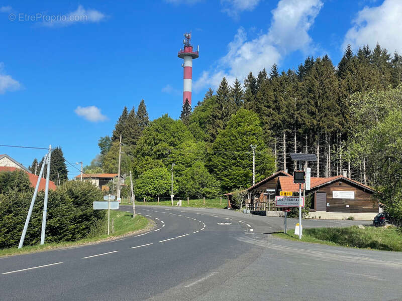  Maison de 310 m² avec gîte – 5 588 m² de terrain – Fraîcheur naturelle et revenus locatifs – Grandrif (63) - photo 28
