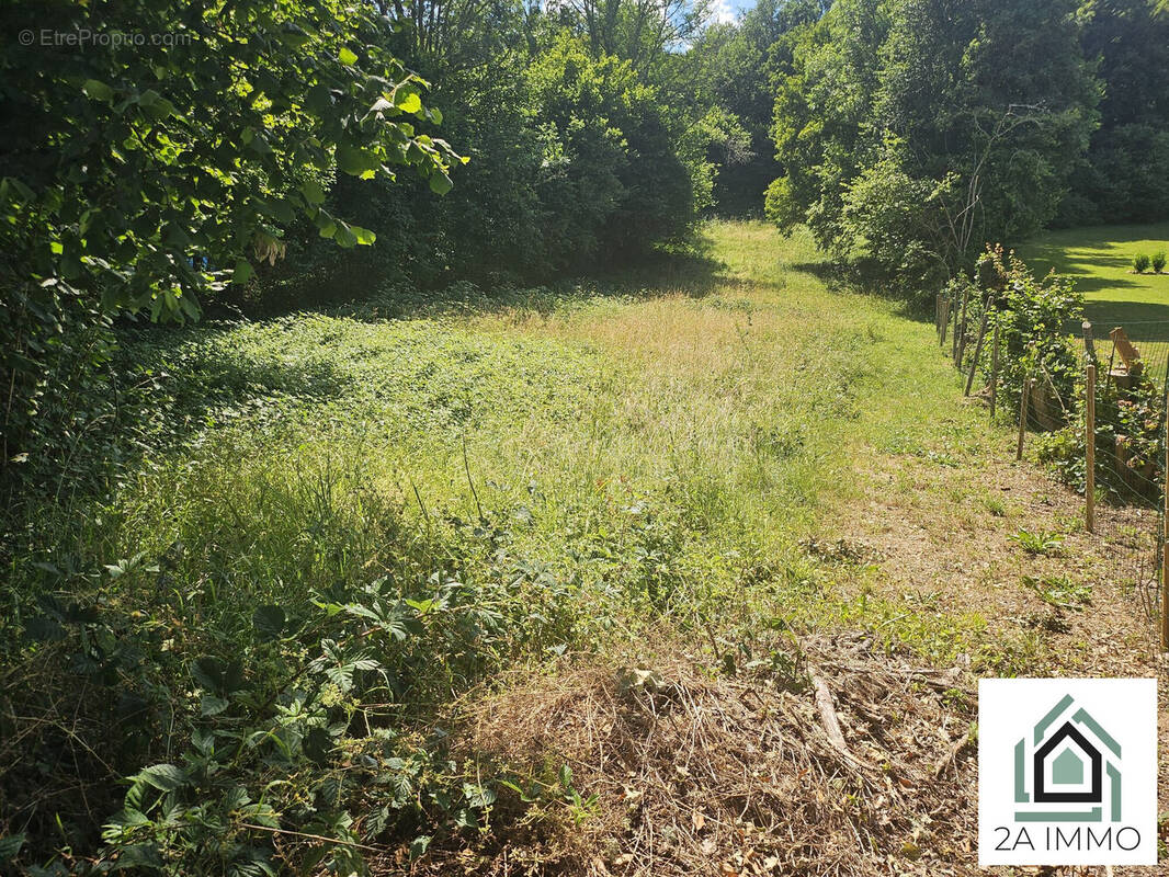 Terrain à BROMONT-LAMOTHE