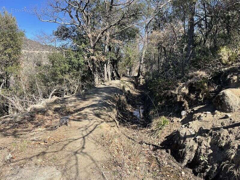 Terrain à MARQUIXANES