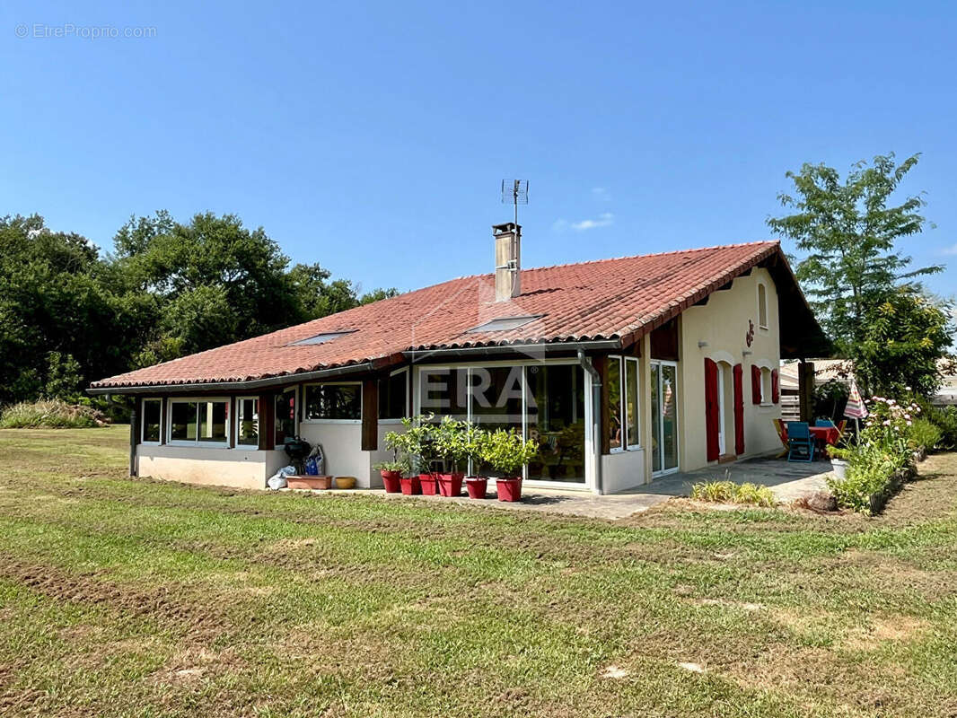 Maison à VILLENEUVE-DE-MARSAN