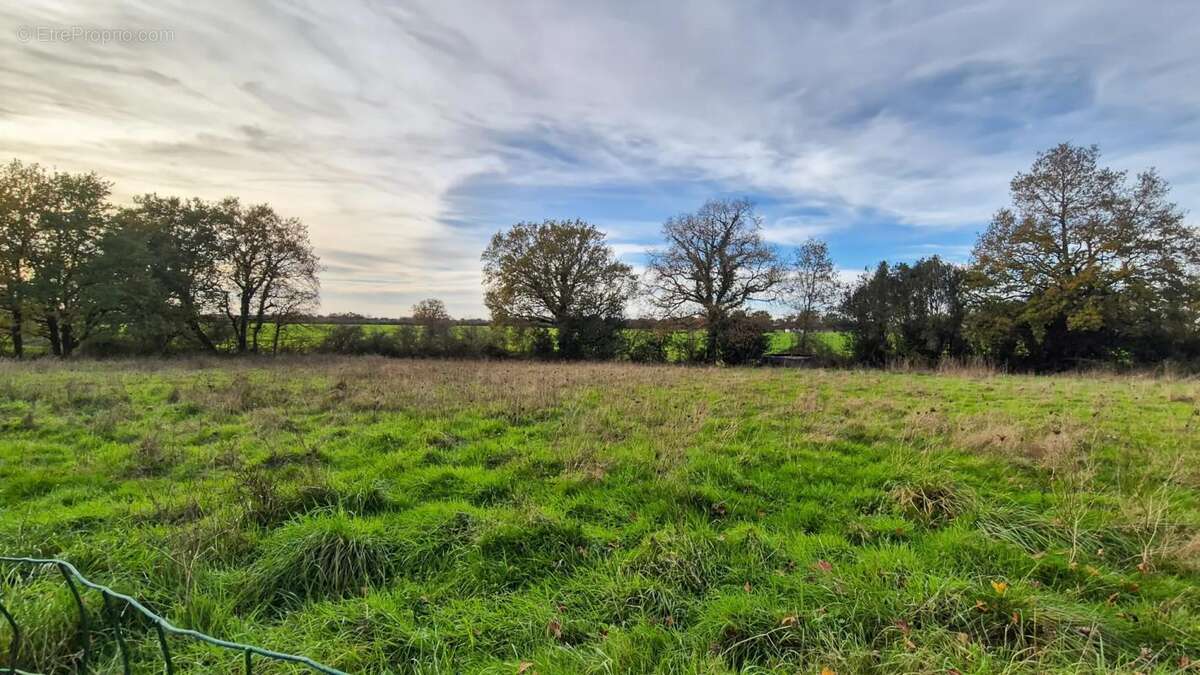 Maison à MAREUIL-SUR-LAY-DISSAIS