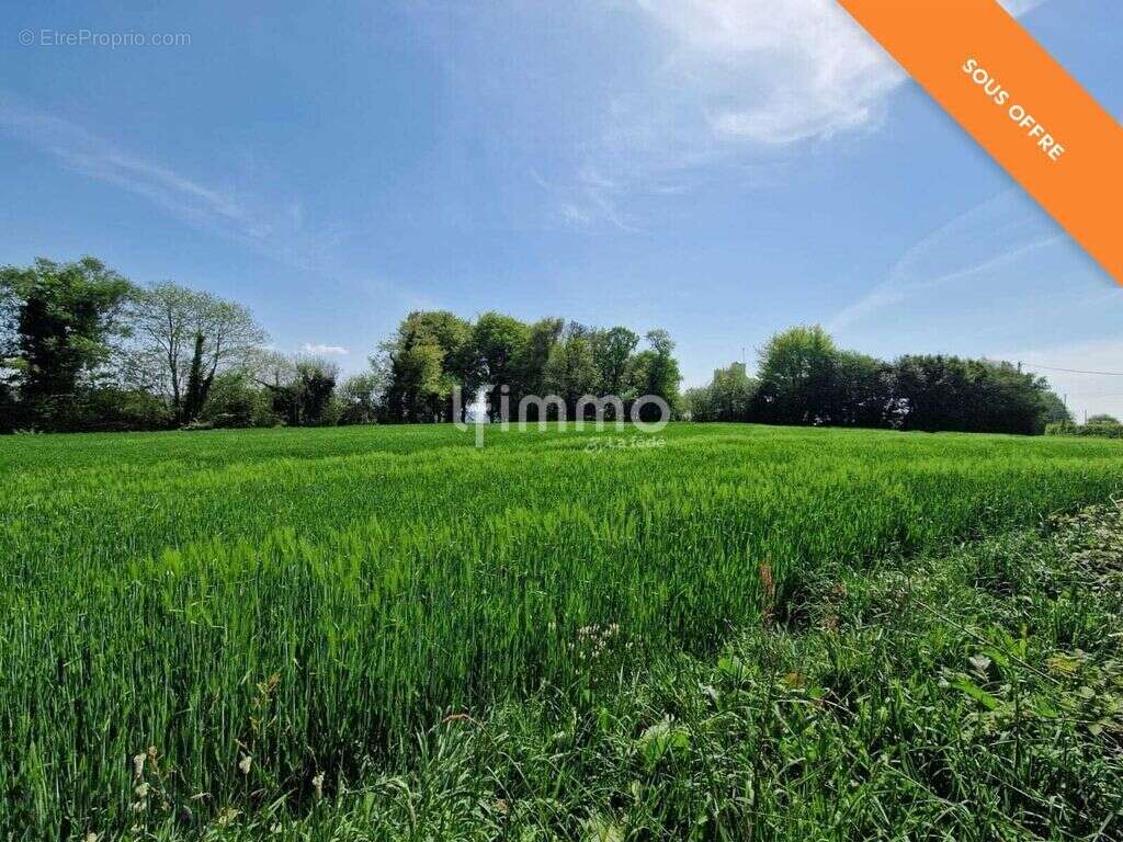 Longère en pierre, 3 pièces de 60 m² à Cast 29150 - photo 21