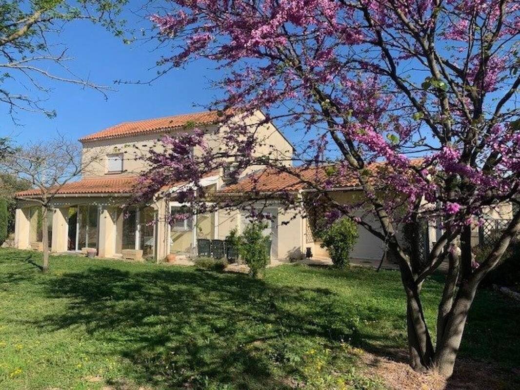 Photo 1 - Maison à BEAUCAIRE