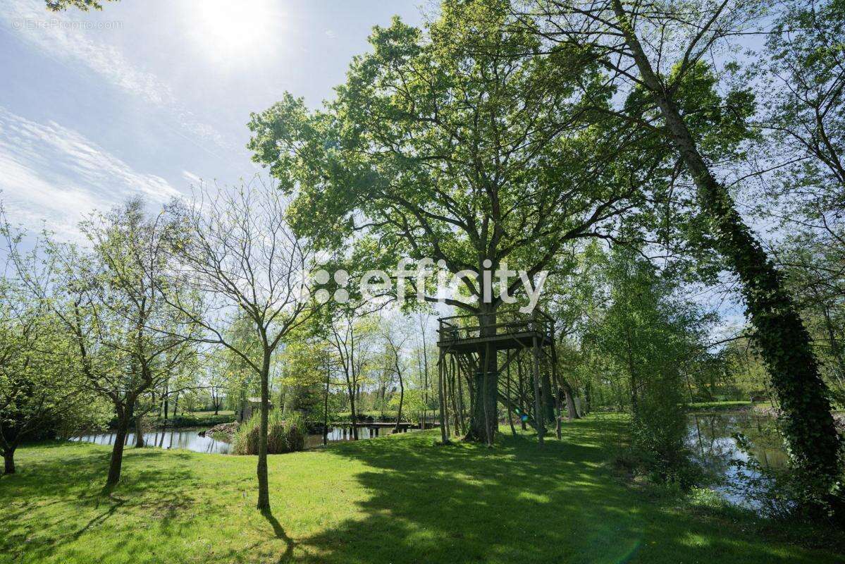 Propriété - photo 15