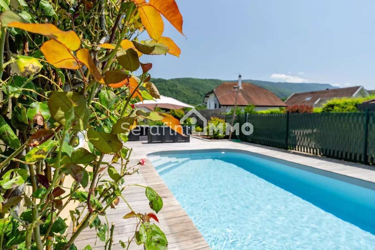 Maison à QUINTAL