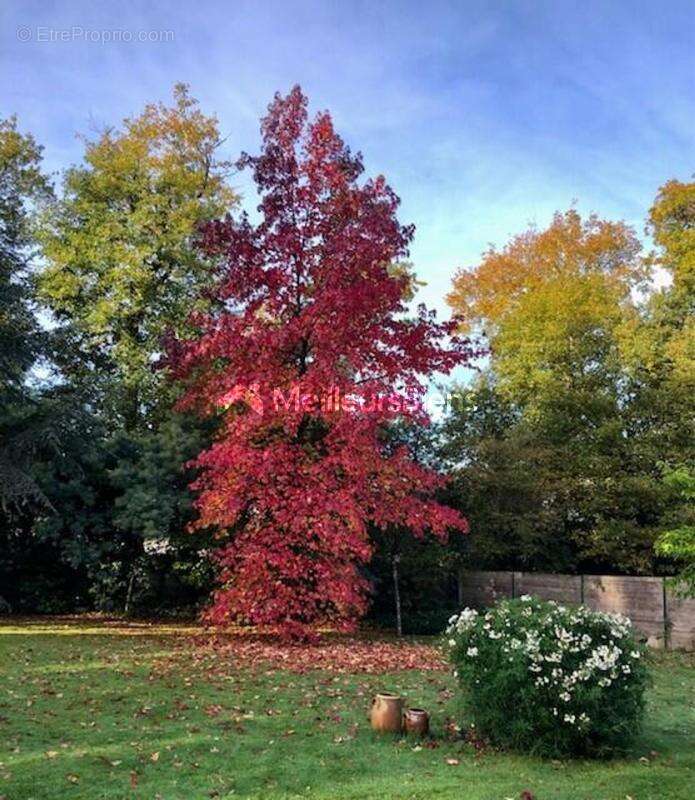 Grande maison familiale en ossature bois au cœur de Plélan-le-Grand - photo 20